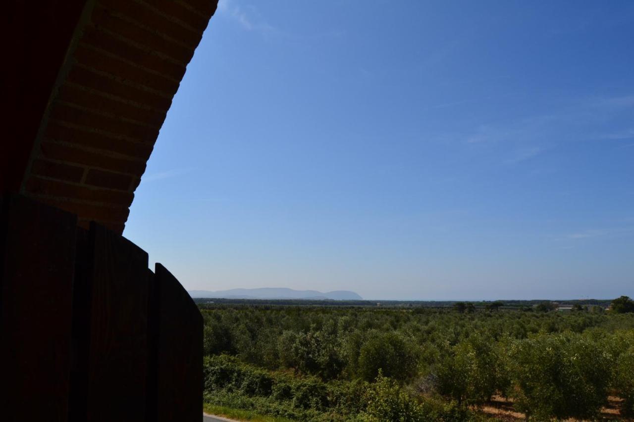 Podere San Giuseppe San Vincenzo Buitenkant foto